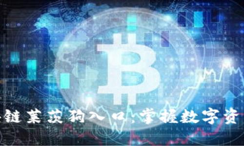 最新百度区块链莱茨狗入口：掌握数字资产交易新机遇